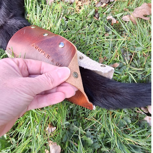 Cooper & Quint lanceert de Staartwarmer – een must-have voor honden in koud weer