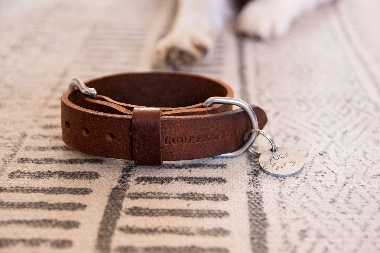 Hondenhalsband leer