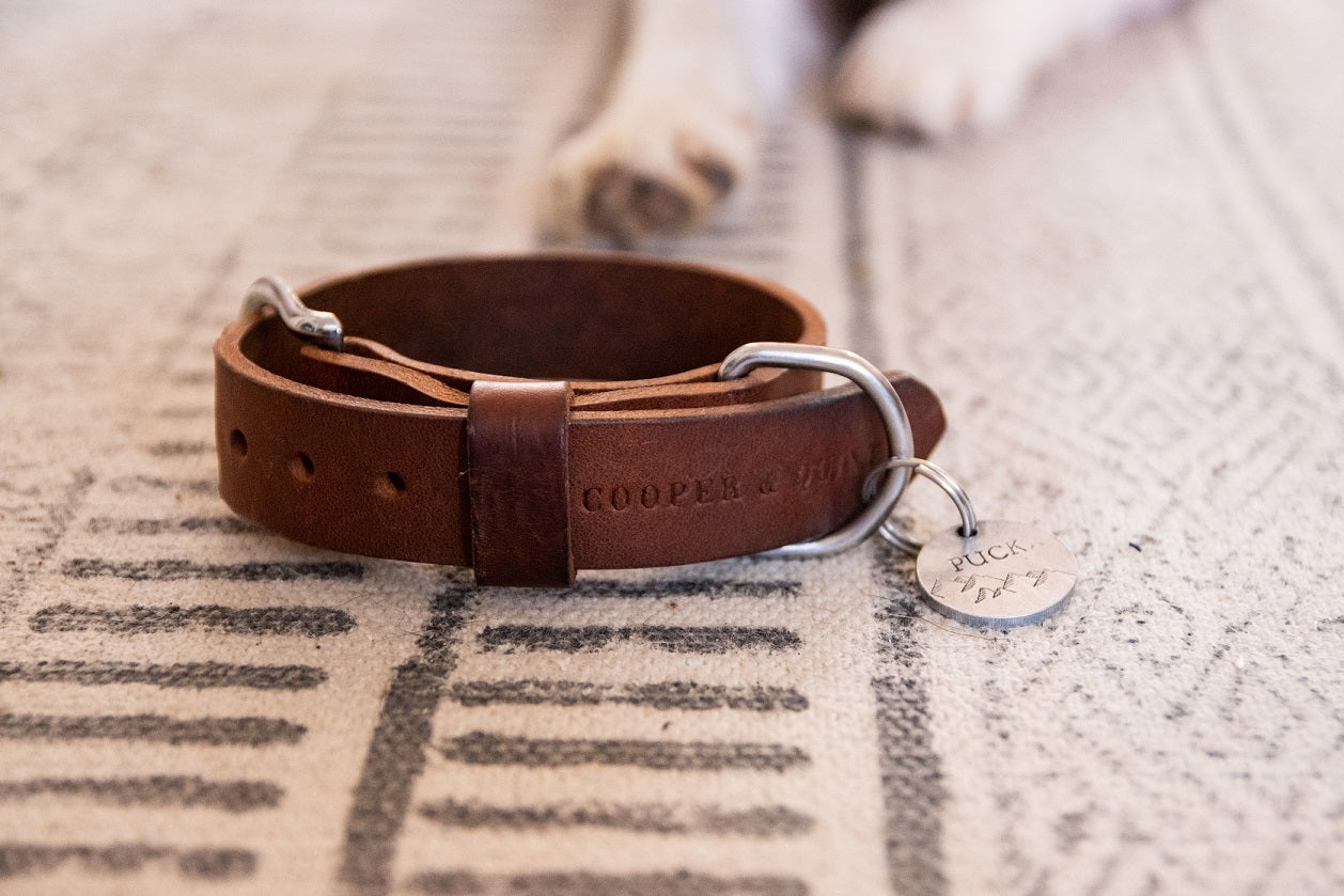 Leren Halsband Hond