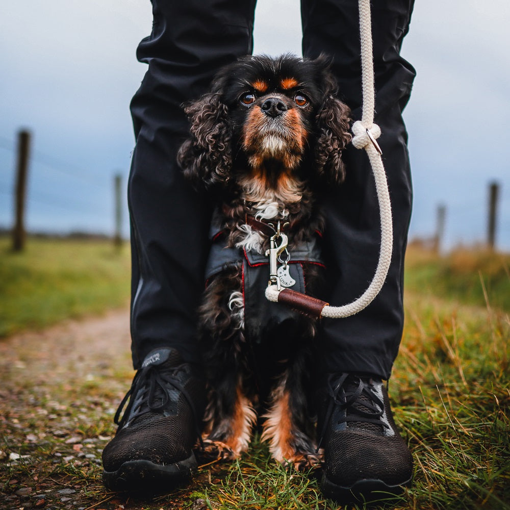 Just Cotton Verstelbare Hondenriem | Touwlijn | Ecru - Cooper & Quint