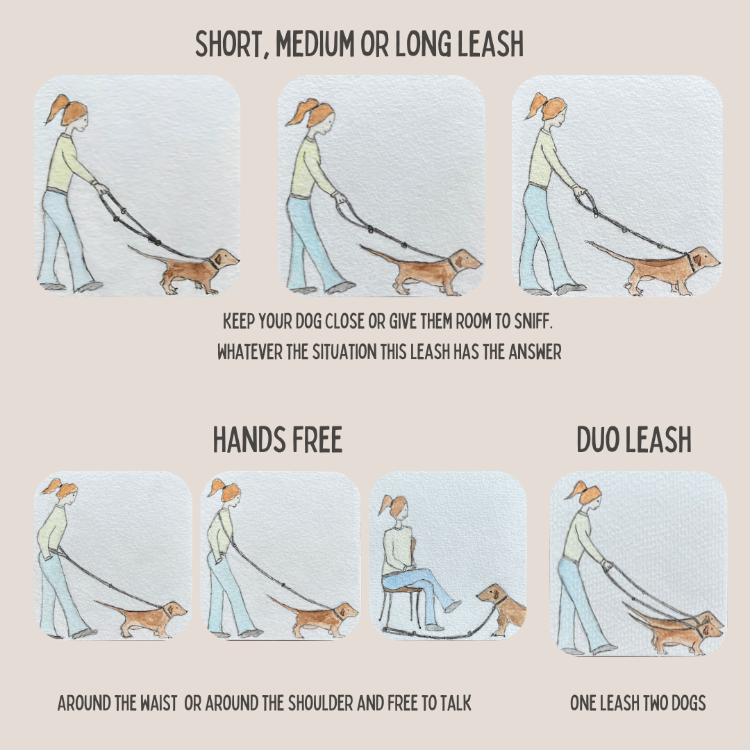 Twisted Cotton Verstelbare Hondenriem Stormachtig Grijs - Cooper & Quint