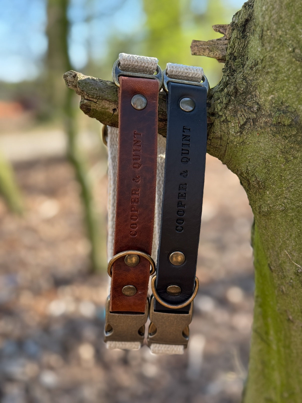 Adventure Halsband - Cooper & Quint