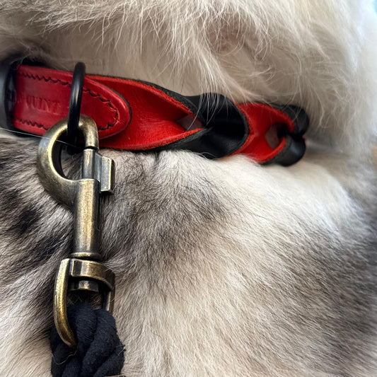 Designed by Bailey | Scarlet Black Double Twist Halsband - Cooper & Quint