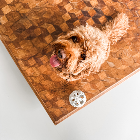 Stellar 2-in-1 bal voor binnen & buiten - Cooper & Quint