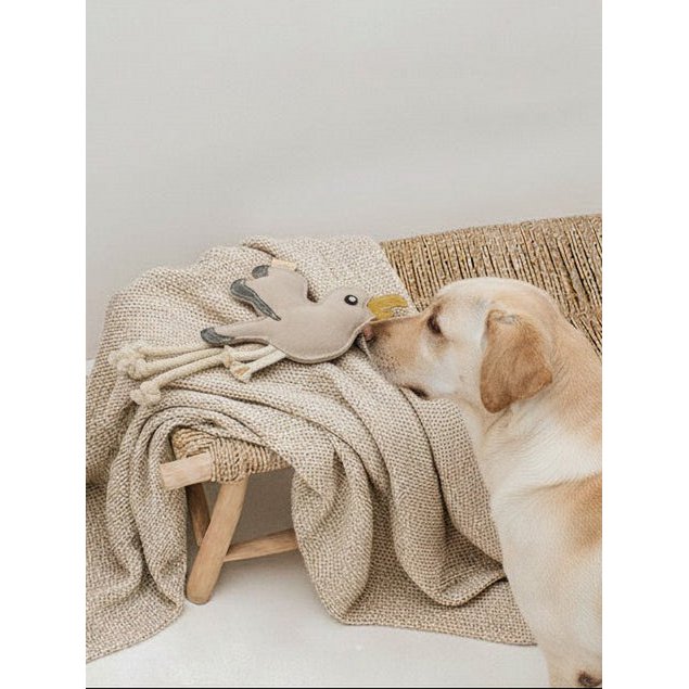 Hondenspeelgoed van leer | Meeuw