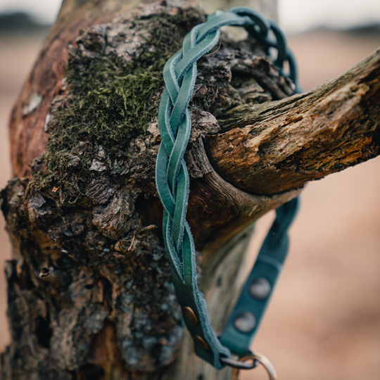ID Halsband | Groen