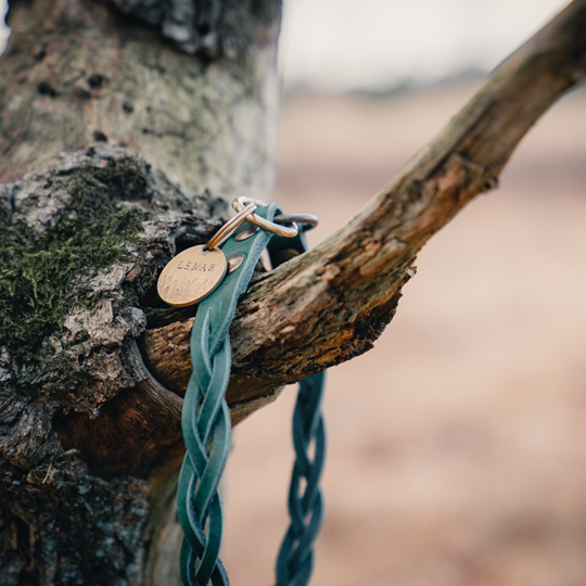 ID Halsband | Groen