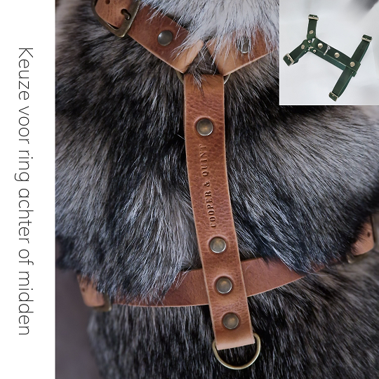No Fuss Y-Tuig Hond Leer | Zwart - Cooper & Quint