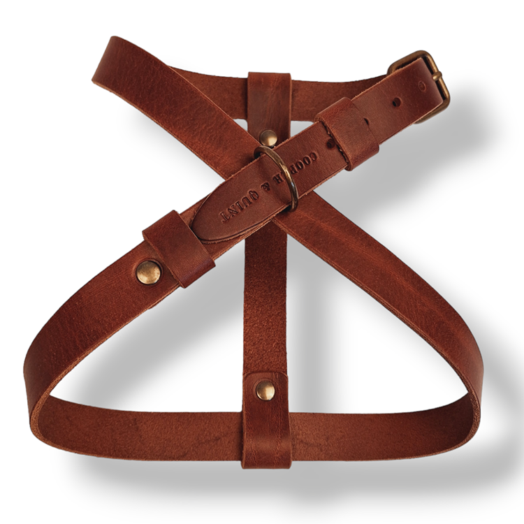 Figure dog harness brown – Cooper Quint - Main Image