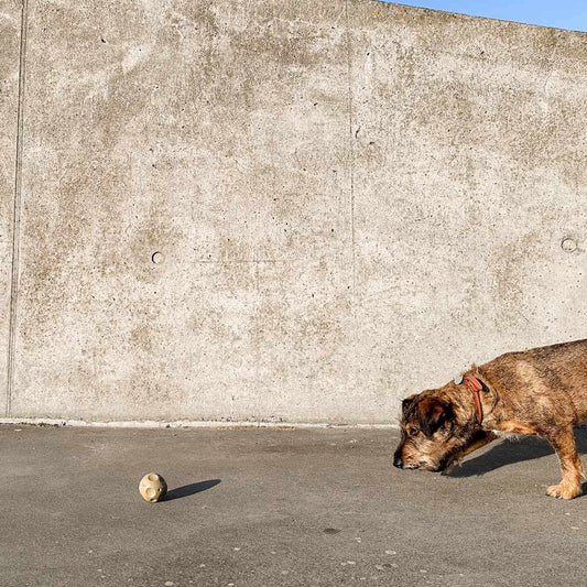 Moon Ball Hunter Green