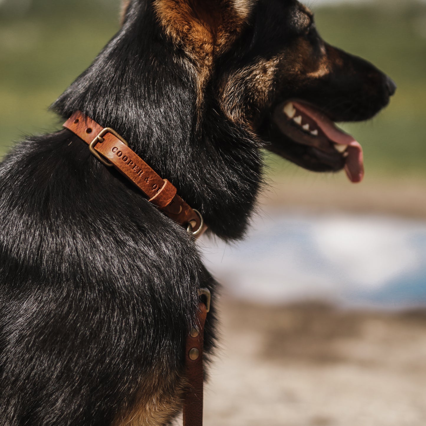 No Fuss Halsband Hond Leer Bruin - Cooper & Quint