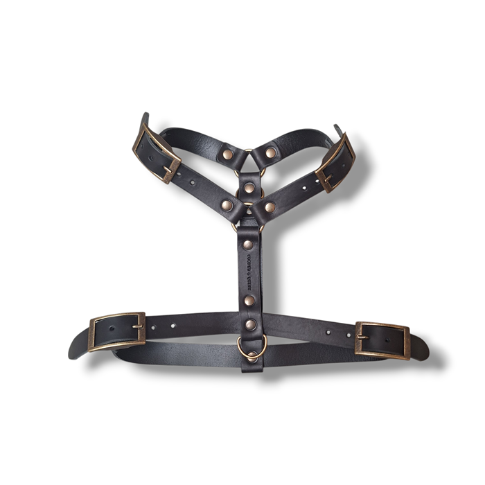 No Fuss Y-Tuig Hond Leer | Zwart - Cooper & Quint