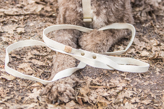 Simply Hemp Hondenriem - Cooper & Quint