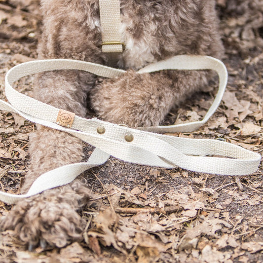 Simply Hemp Hondenriem - Cooper & Quint