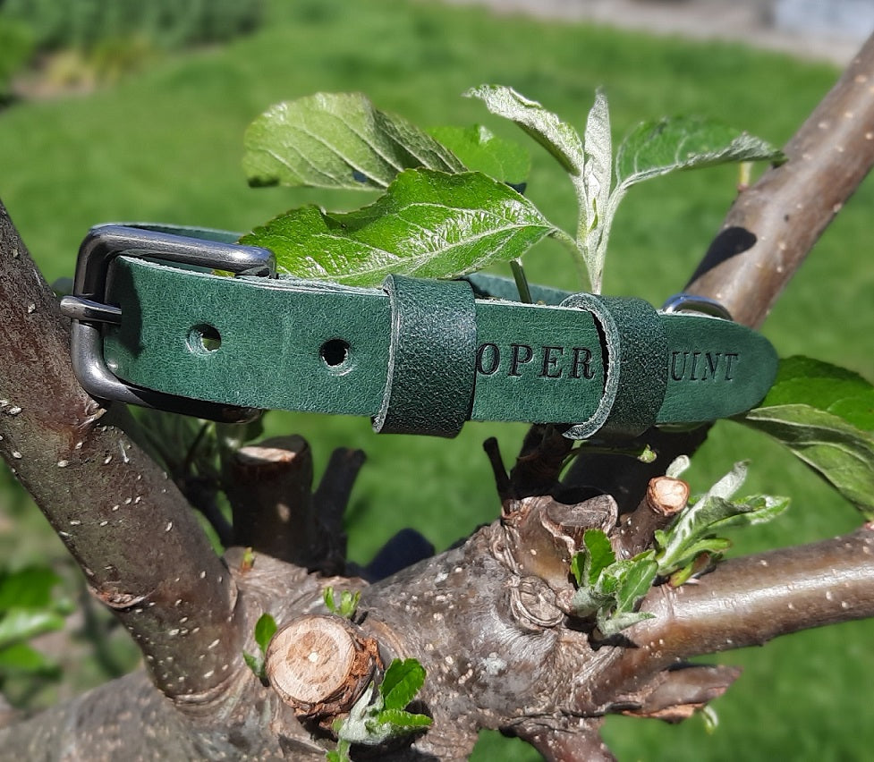 Double Trouble Halsband Hond Leer Groen - Cooper & Quint