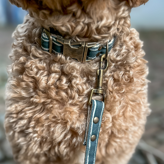 Hemp Halsband Azure - Cooper & Quint