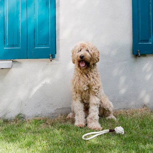 Tie the Knot Tug Toy Cream - Cooper & Quint