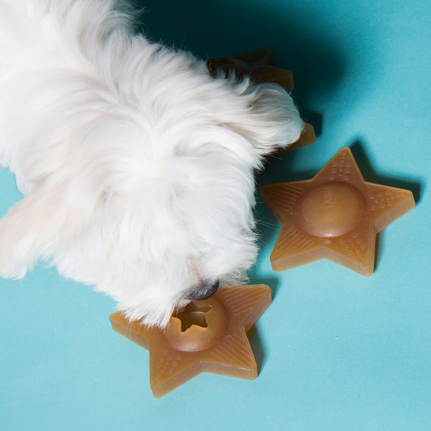 Star Treat Natural - Cooper & Quint