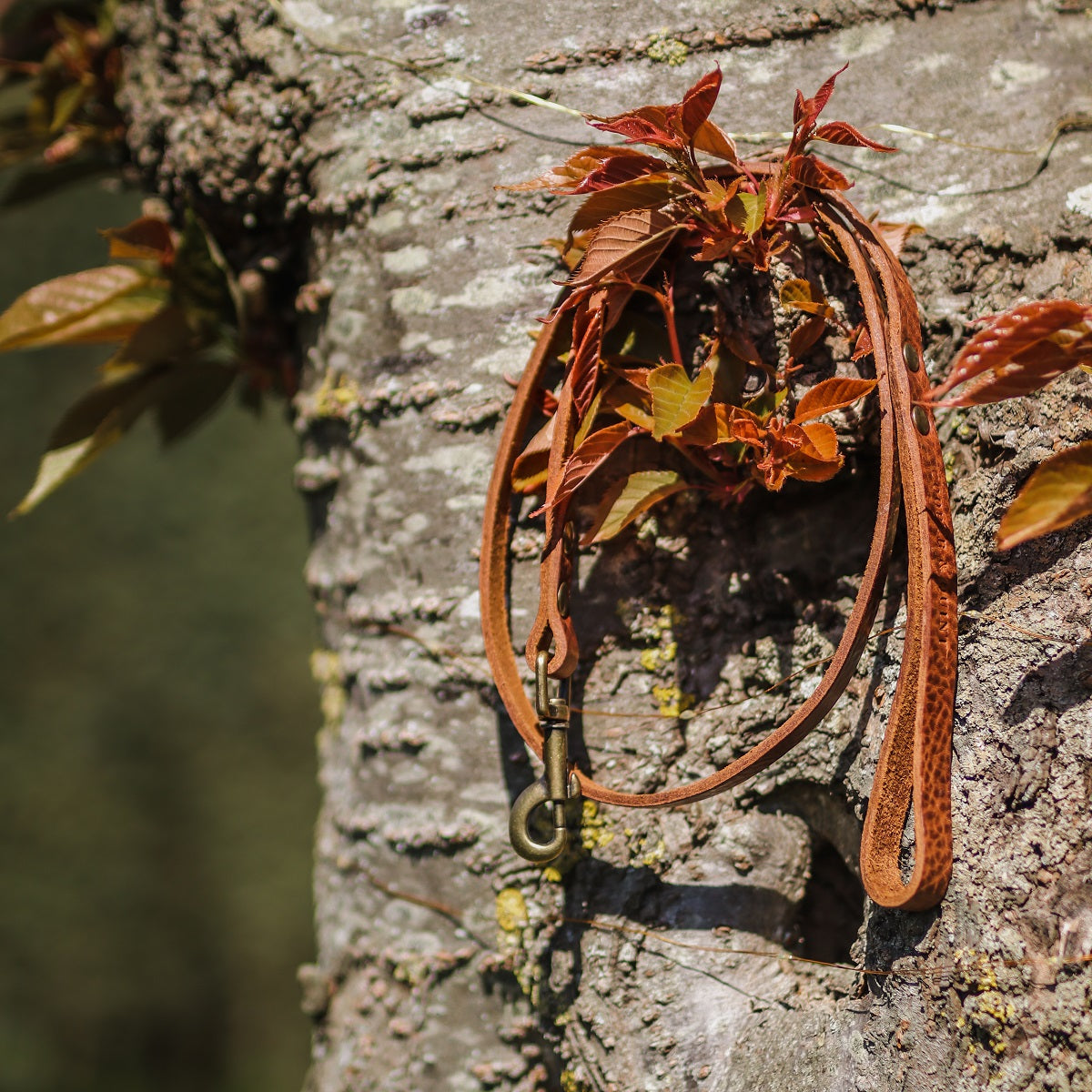 Niet-Verstelbare Looplijn