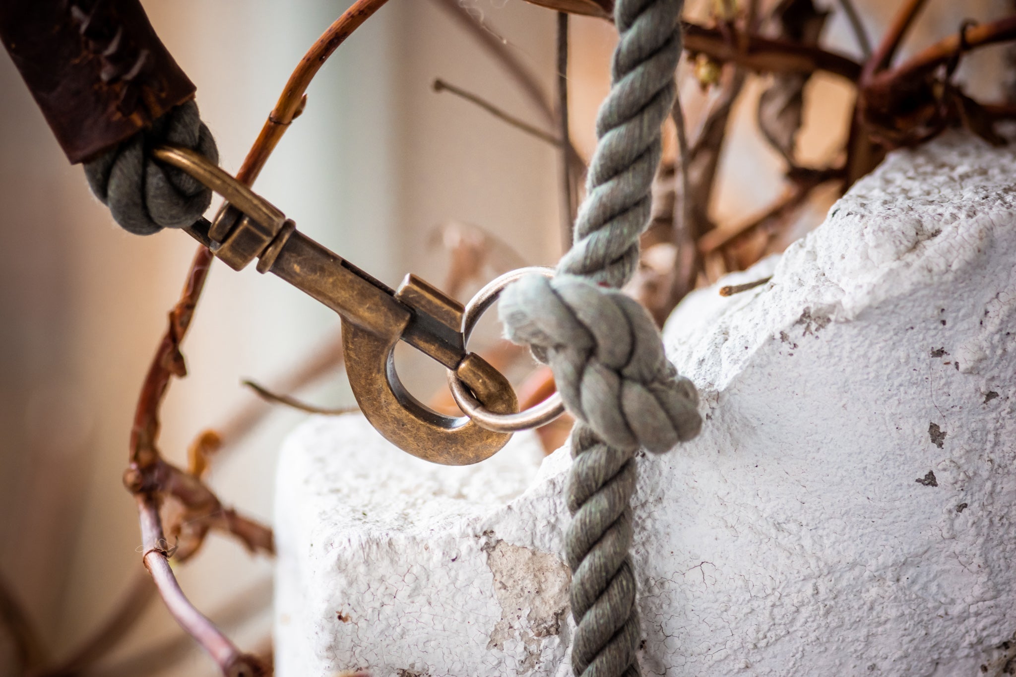 Verstelbare Hondenriem