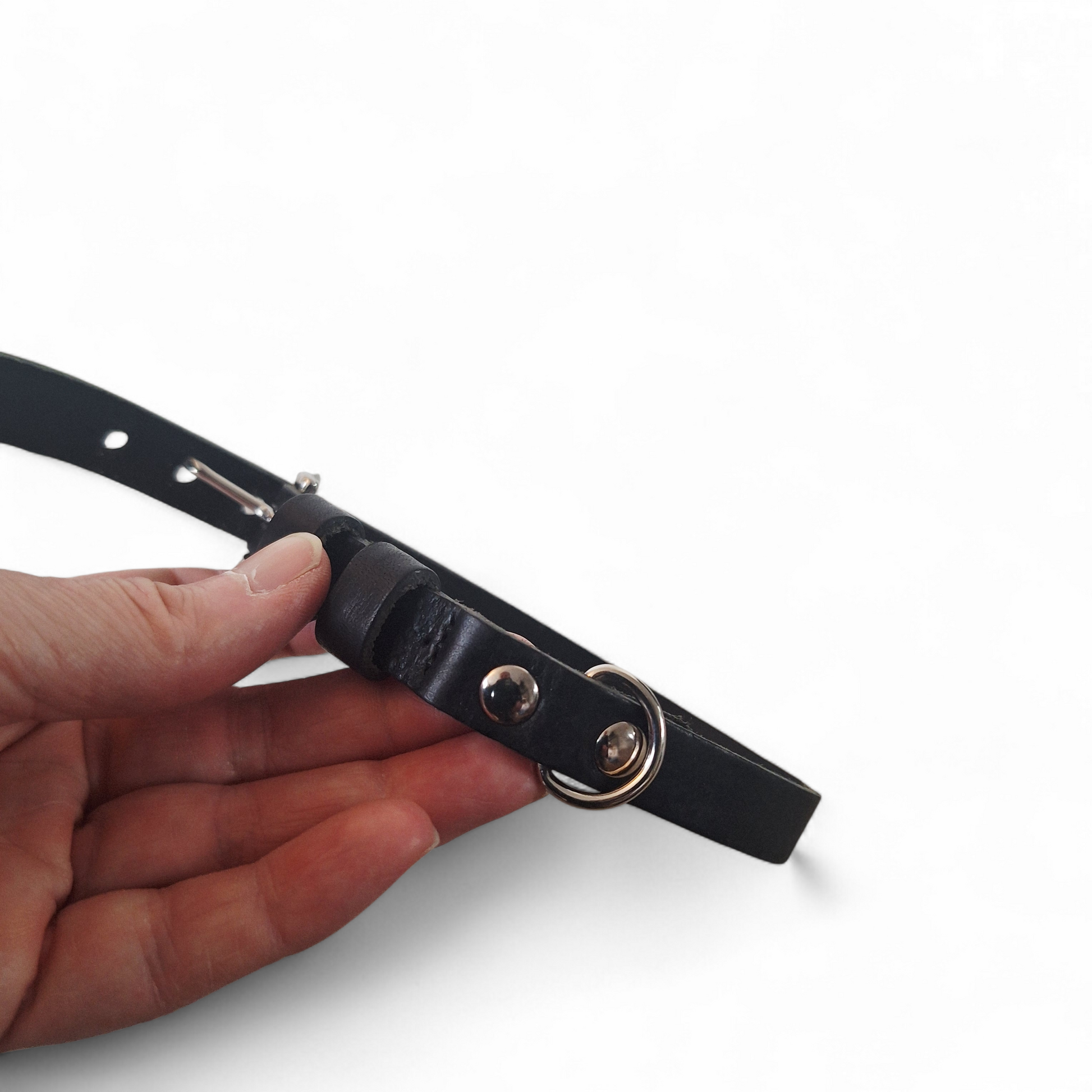 Double Trouble | Zwart | Small - Cooper & Quint