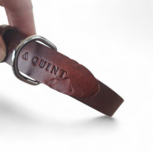 Double Trouble | Bruin | Large - Cooper & Quint