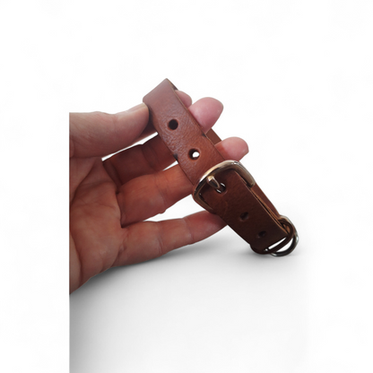 No Fuss Halsband | Bruin | Medium - Cooper & Quint