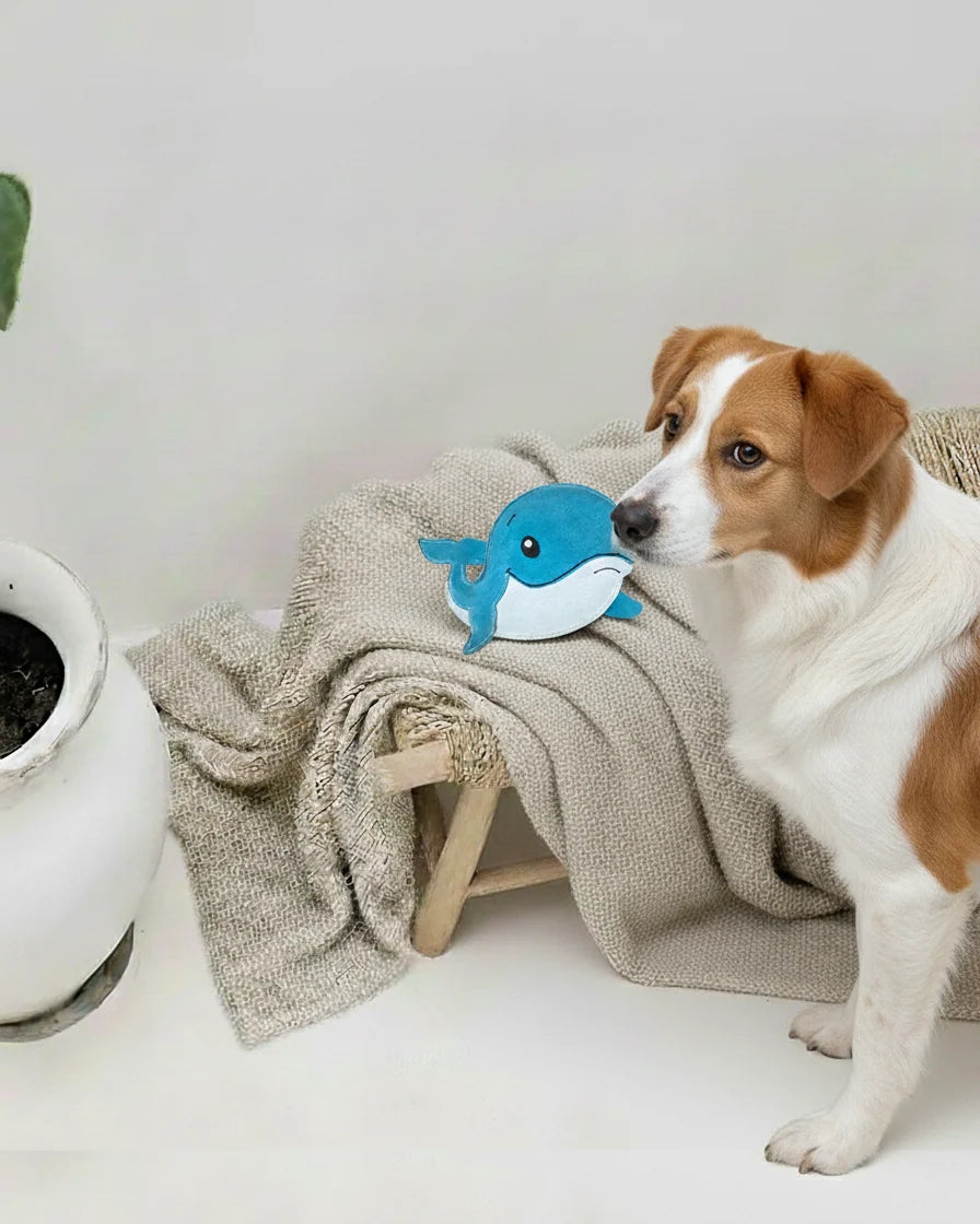 Leather Dog Toy | Whale