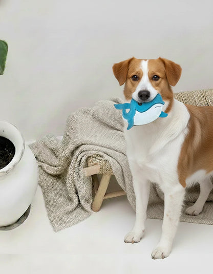 Leather Dog Toy | Whale