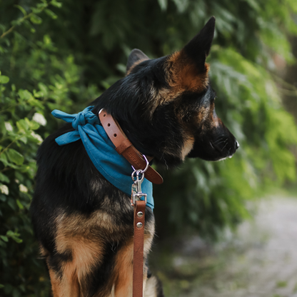 Bandana Hond Koningsblauw