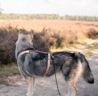 DRIFT | Leren Sleeplijn