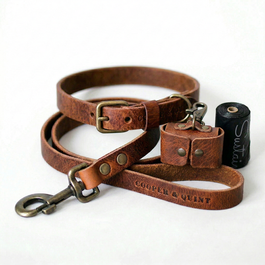 The Everyday Set - Cooper & Quint