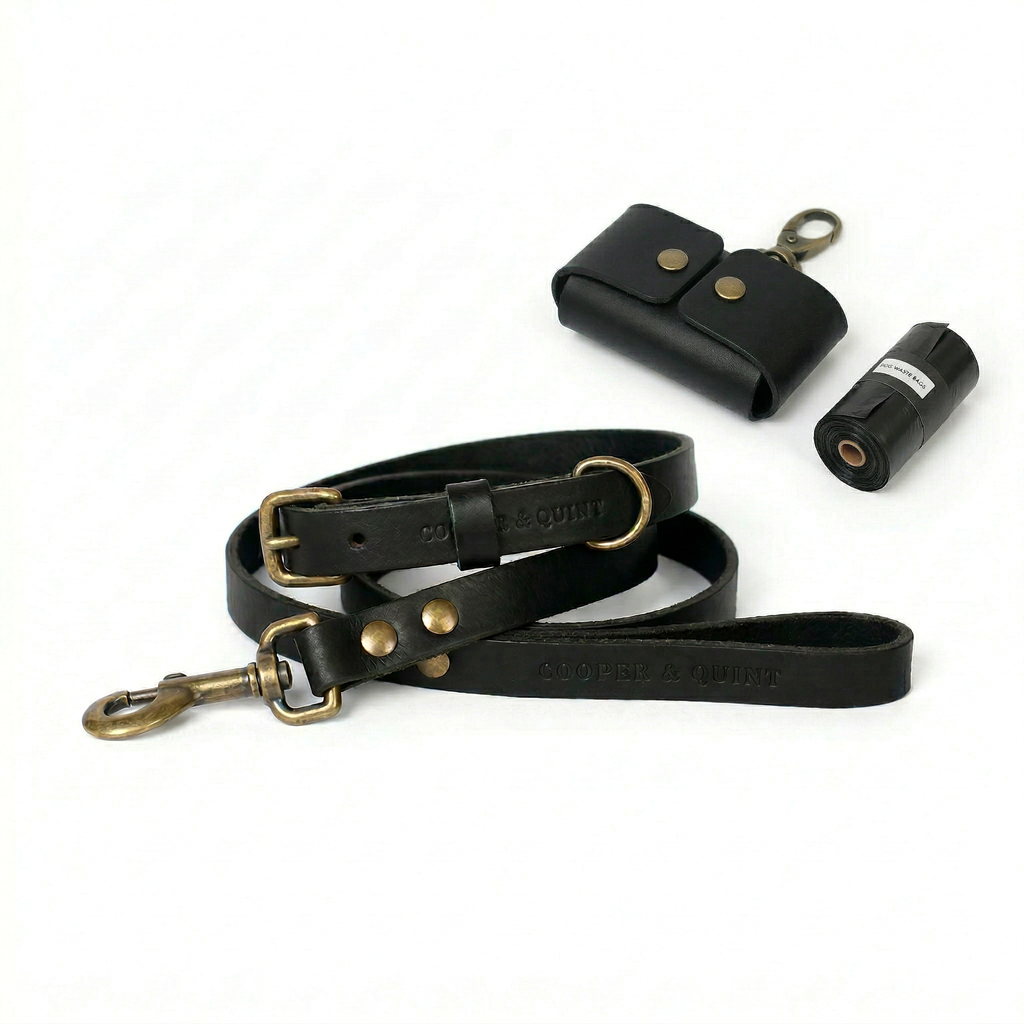 The Everyday Set - Cooper & Quint