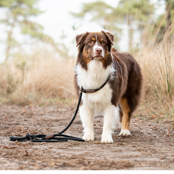 Sliplijn Verstelbaar | Zwart - Cooper & Quint