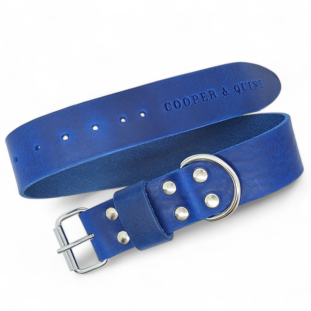 Royal Blue Limited Edition | Bold Brede Halsband