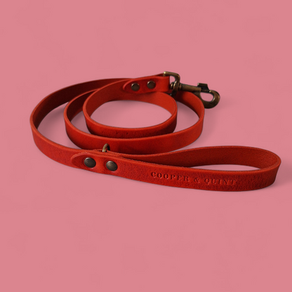 Scarlet Red Limited Edition | Leren Hondenriem - Cooper & Quint