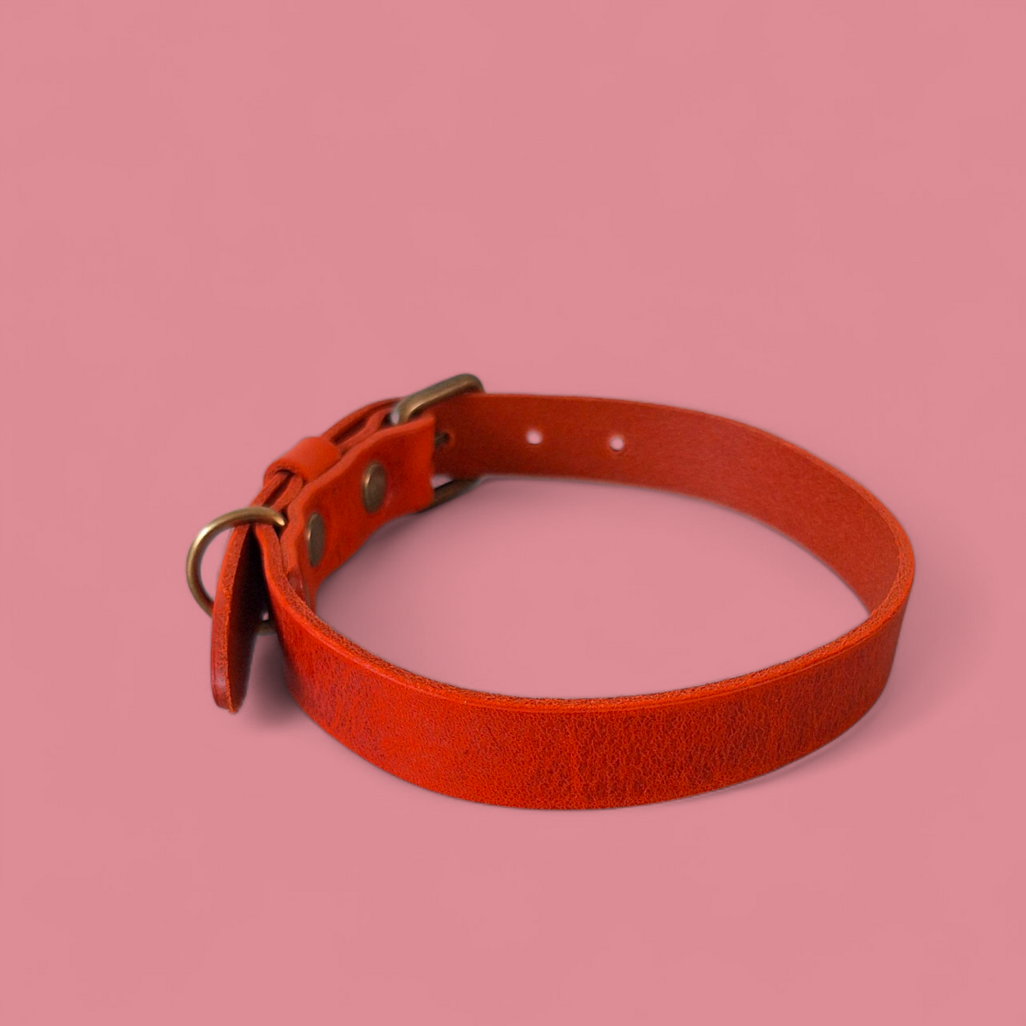 Scarlet Red Limited Edition | No Fuss Halsband - Cooper & Quint