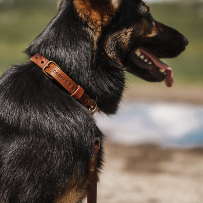 No Fuss Halsband Hond Leer Bruin - Cooper & Quint