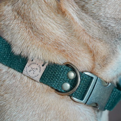 Simply Hemp Halsband Hond | Bosgroen