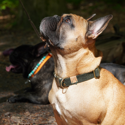 Simply Hemp Halsband Hond | Bosgroen