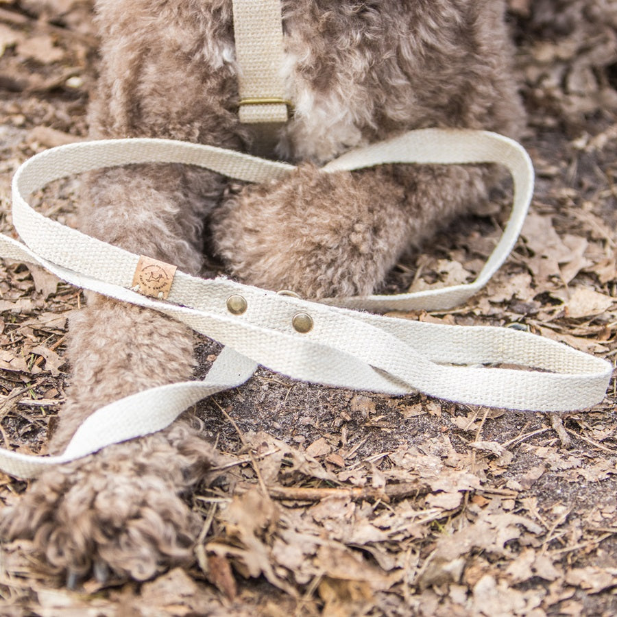 Simply Hemp Hondenriem - Cooper & Quint