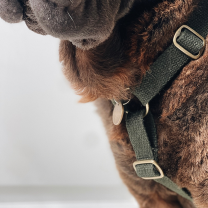 Simply Hemp Dog Harness | Forest Green