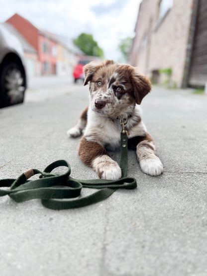 Simply Hemp Dog Leash | Forest Green