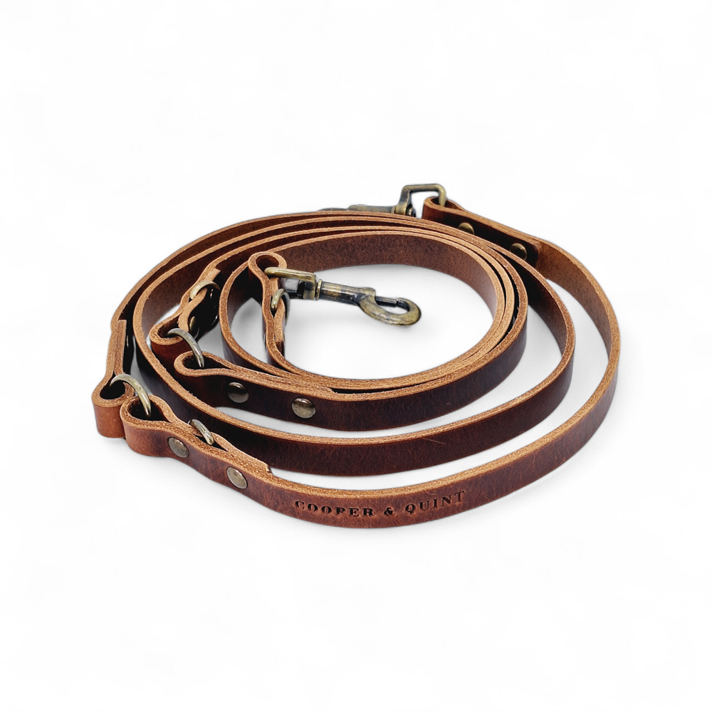 Switch Adjustable Leather Dog Leash Brown