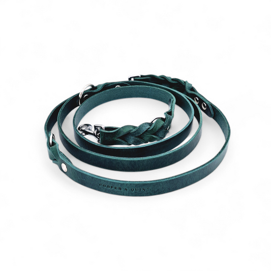 Twisted Switch Adjustable Leather Dog Leash | Green