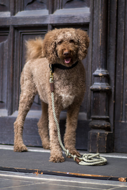Twisted Cotton Adjustable Dog Leash Olive Green