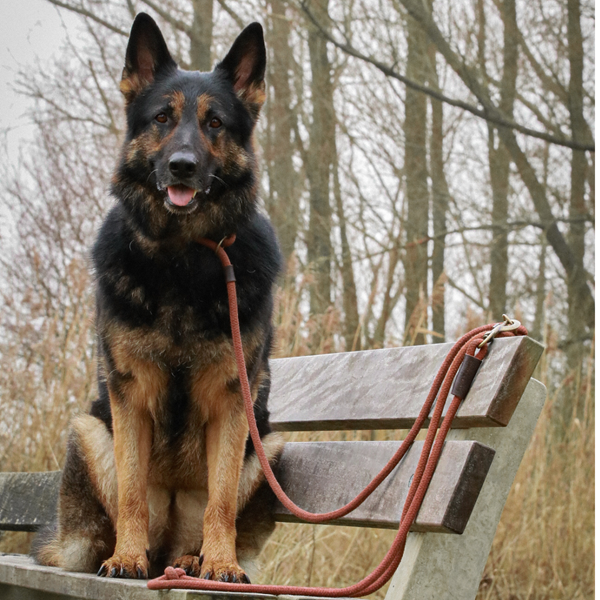 Sliplijn Verstelbaar | Limited Edition Bruin - Cooper & Quint