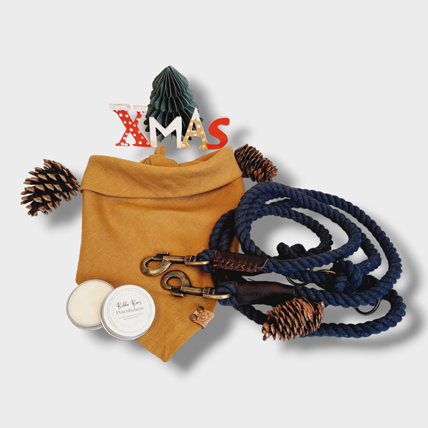 Limited Edition Kerstbox | Geel - Blauw - Cooper & Quint
