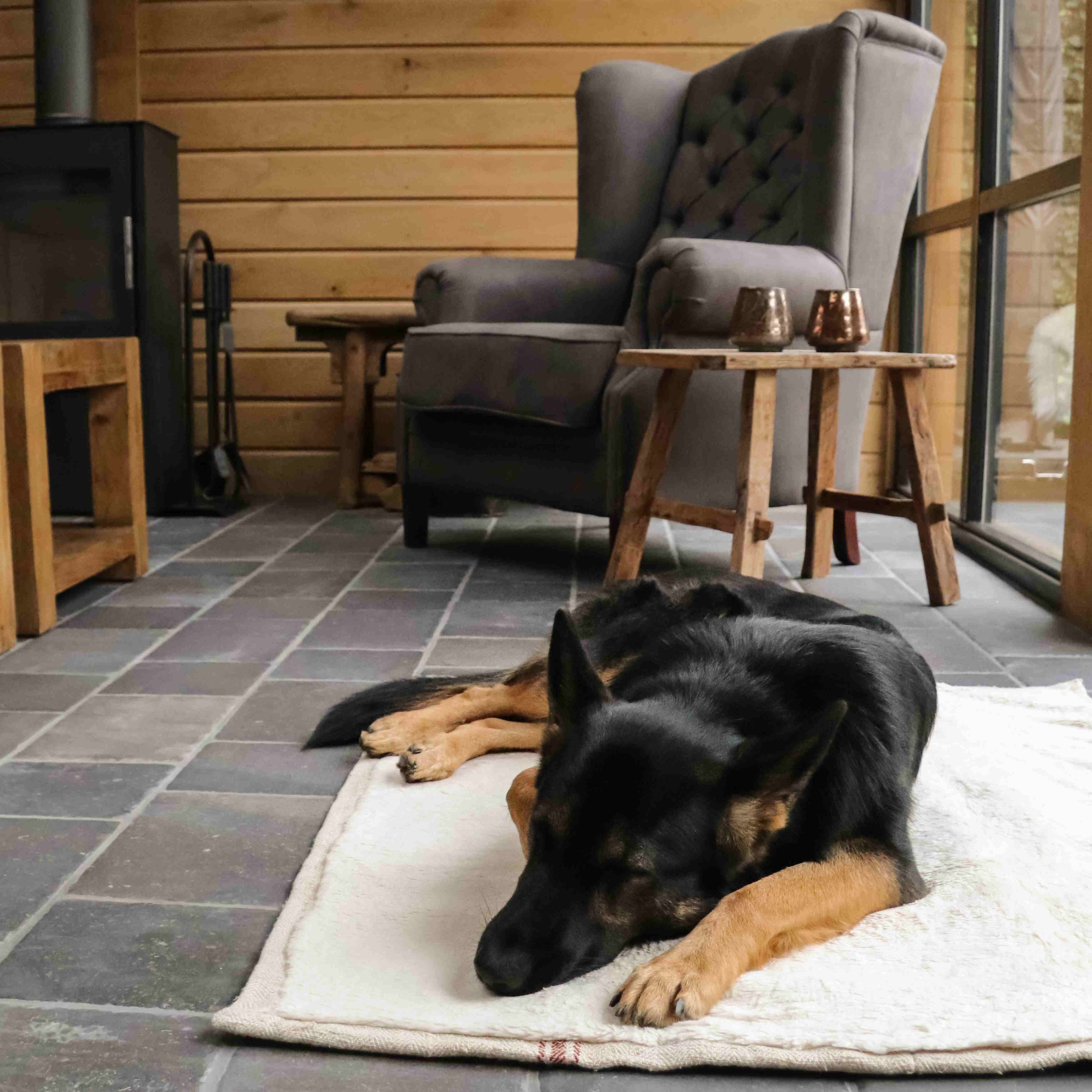 No Grain Reiskleed - Cooper & Quint