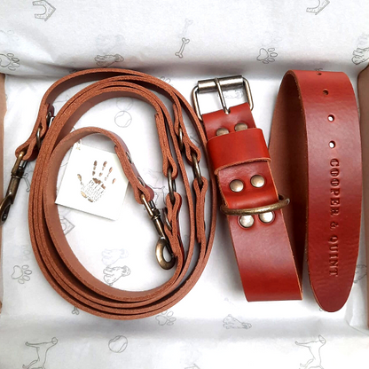 Rusty Red Limited Edition Hondenriem - Cooper & Quint
